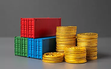 Exchange Earners Foreign Currency Account