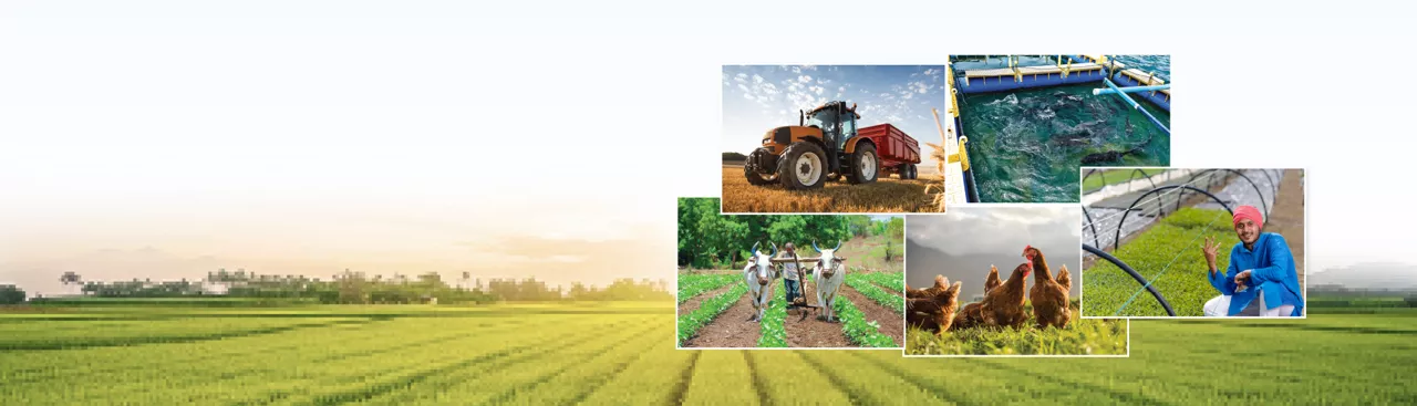 Kisan Card And Kisan Gold Card