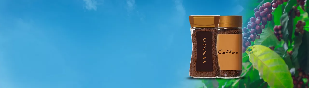 Pradhan Mantri Formalisation