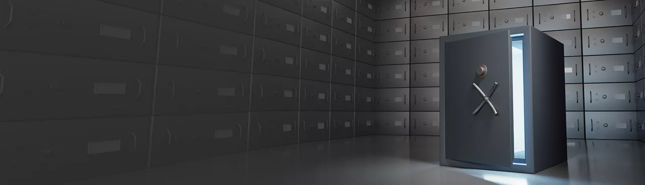 Safe Deposit Locker