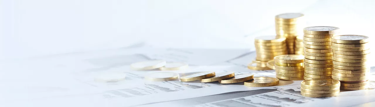 Sec 54 ec Capital Gains Bonds