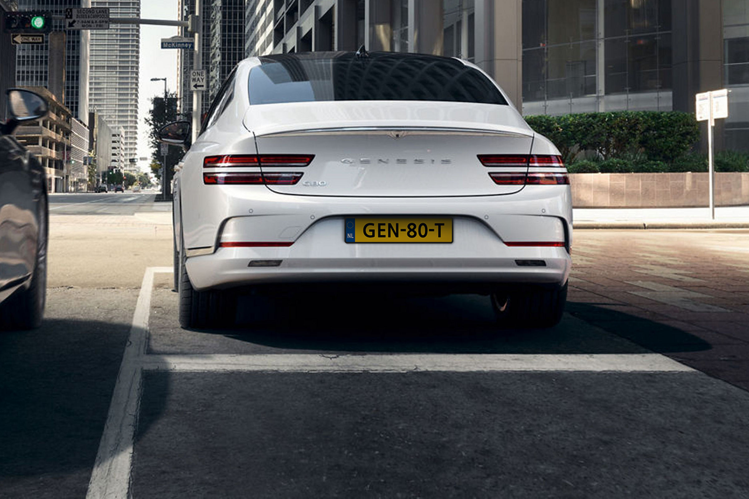 Remote Smart Parking Assist