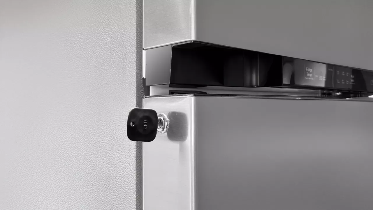 https://s7ap1.scene7.com/is/image/ifb/final-revised-ff-high-quality-lock-and-key