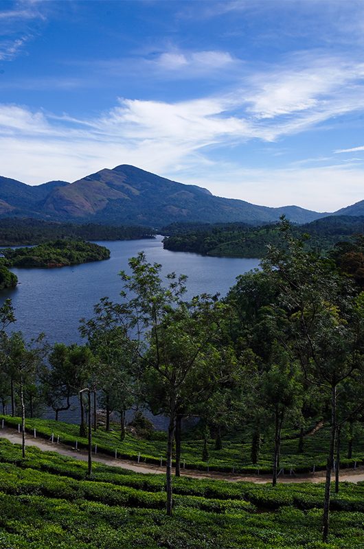 1-anayirankal-munnar-kerala-attr-nearby