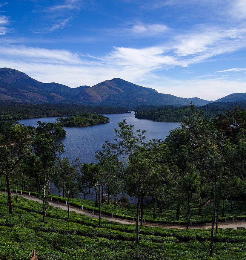 1-anayirankal-munnar-kerala-city-attr