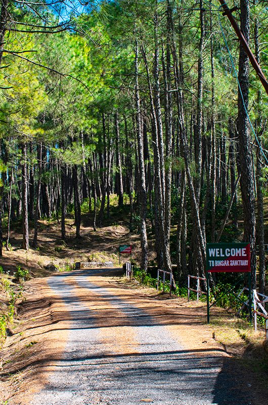 binsar-wildlife-sanctuary