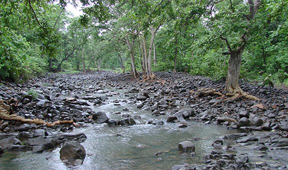 bhimbetka-rock-shelters-bhopal-madhya-pradesh-attr-about