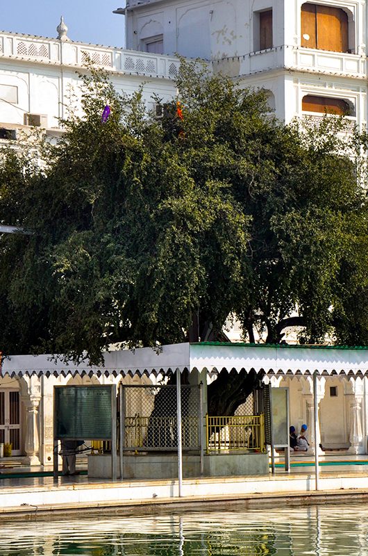 1-dukh-bhanjani-ber-tree-amritsar-punjab(1)-attr-nearby