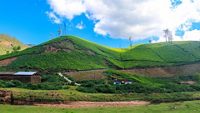 Magnificent View of Tea Plantation from Kannan Devan Hills, Munnar, Kerala, India