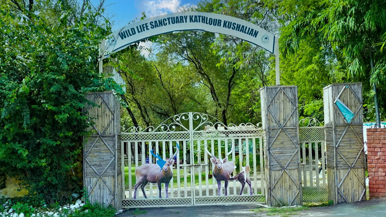 1-kathlour-kushlian-wildlife-sanctuary-pathankot-punjab-attr-hero