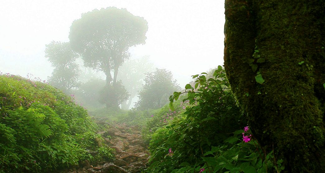 Kodachadri-Hills