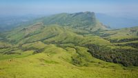 Trekking / Hiking at Kudremukh or Kudremukha national park in Chikmagalur, Karnataka, India. Nature walk amidst green landscape in monsoon season. Beautiful greenery in Forest/ jungle. Tiger reserve