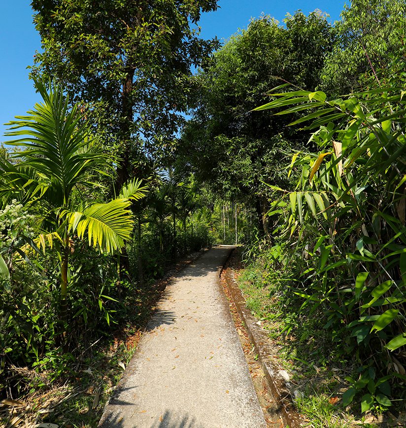 mawlynnong-village