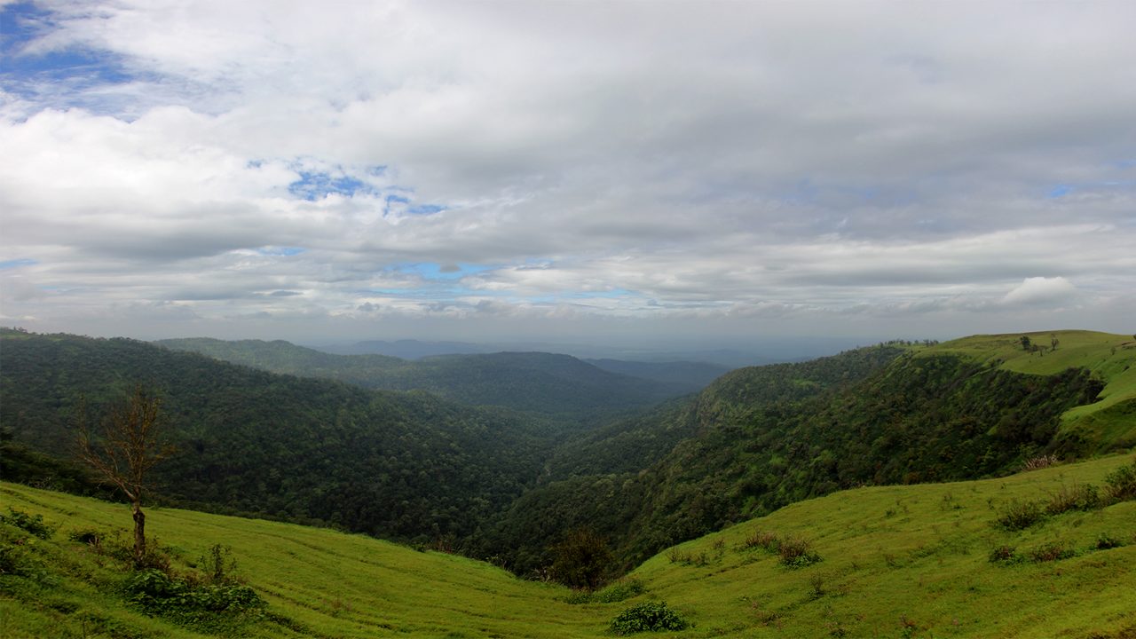 melghat-tiger-reserve-amravati-maharashtra-1-attr-hero