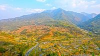 2-chuchuyimlang-village-mokokchung-nagaland-city-hero