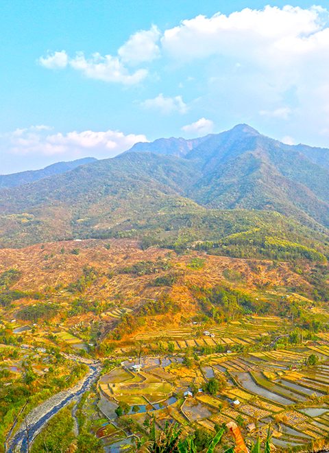 1-mokokchung-nagaland-city-homepag