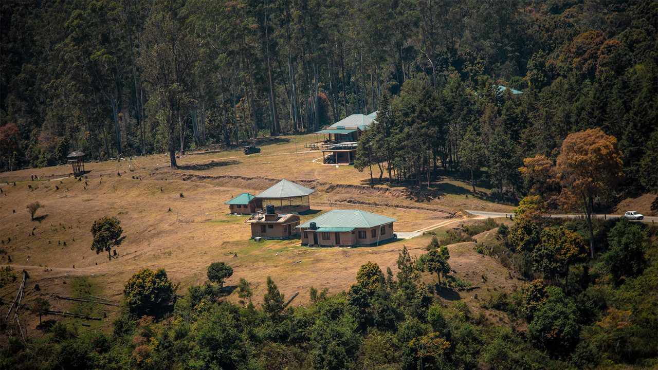 1-pampadum-shola-national-park-attr-hero