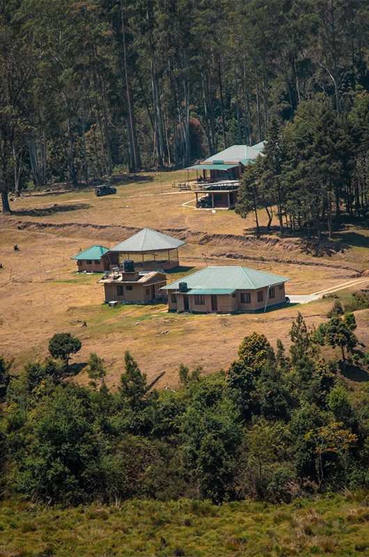 pampadum-shola-national-park