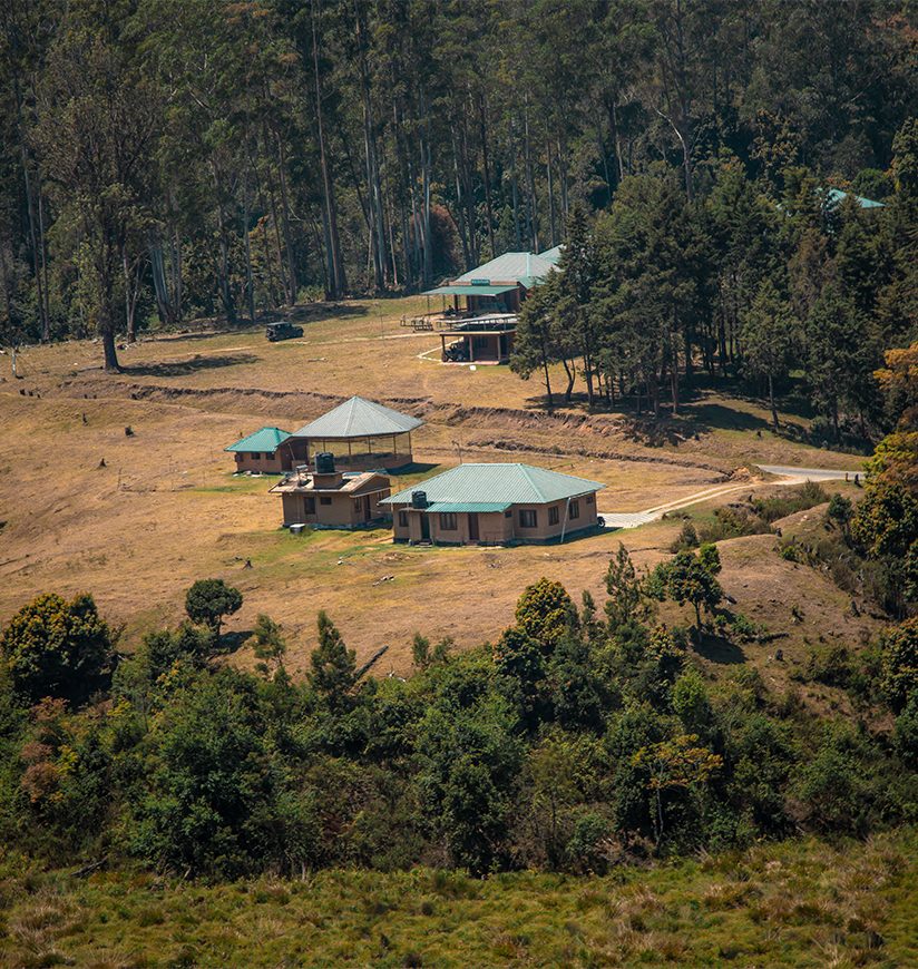 pampadum-shola-national-park