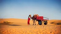 1-sam-sand-dunes-jaisalmer-city-hero.jpg