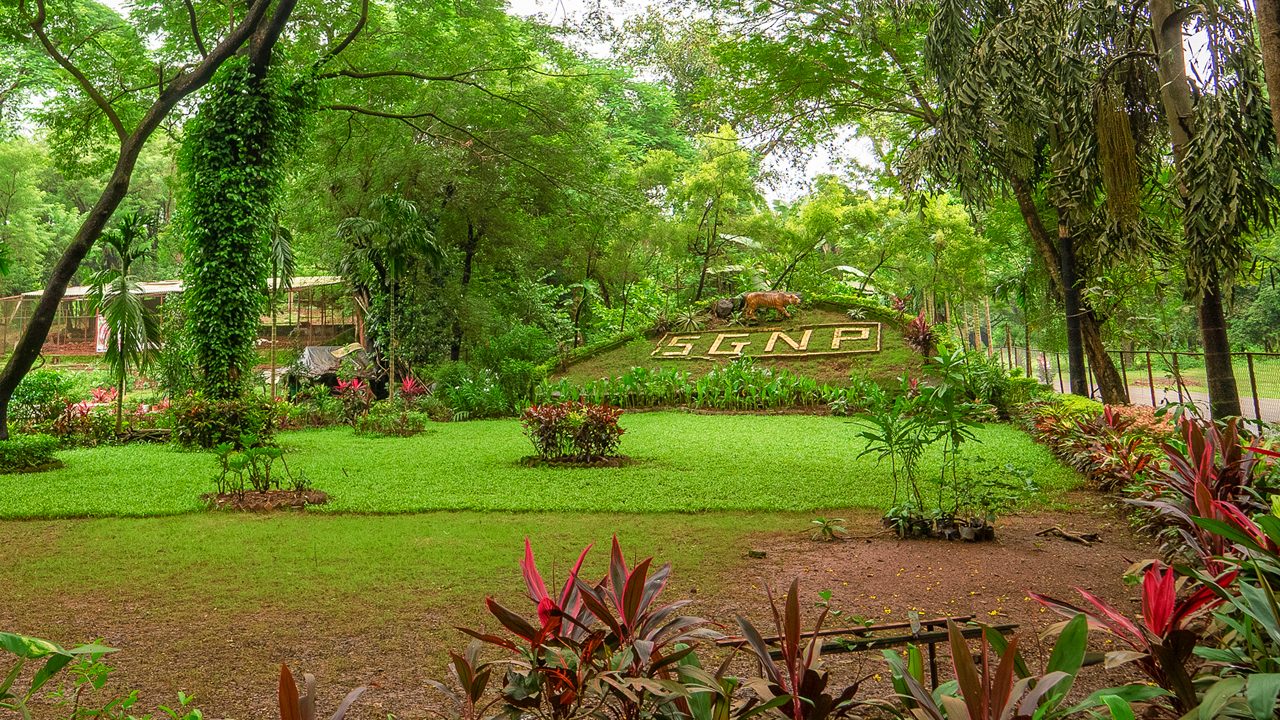 Sanjay Gandhi National Park - Mumbai's Green Escape | Incredible India