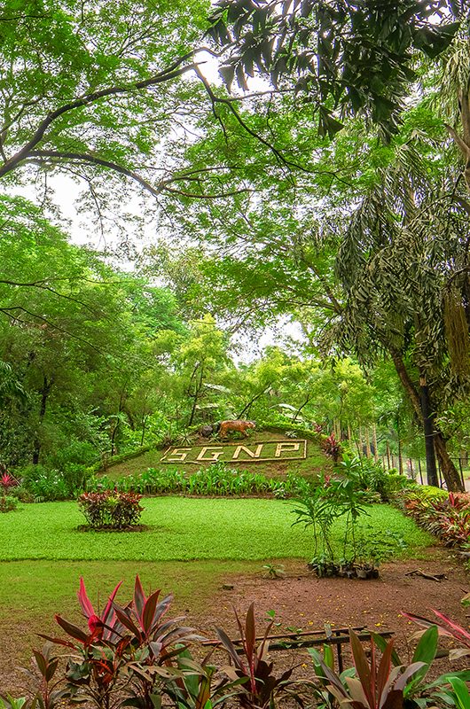 sanjay-gandhi-national-park