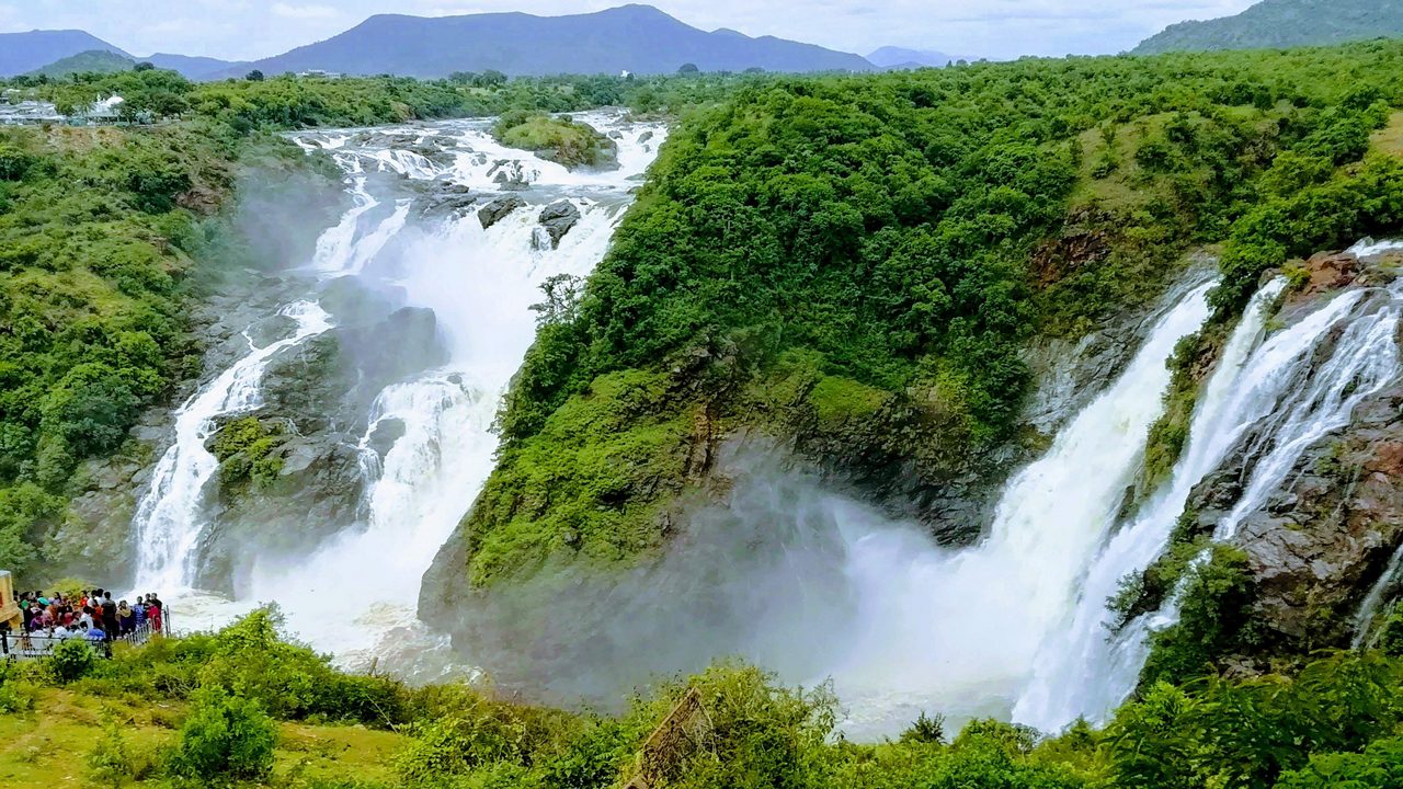 Greenery view of Shivanasamudra waterfalls