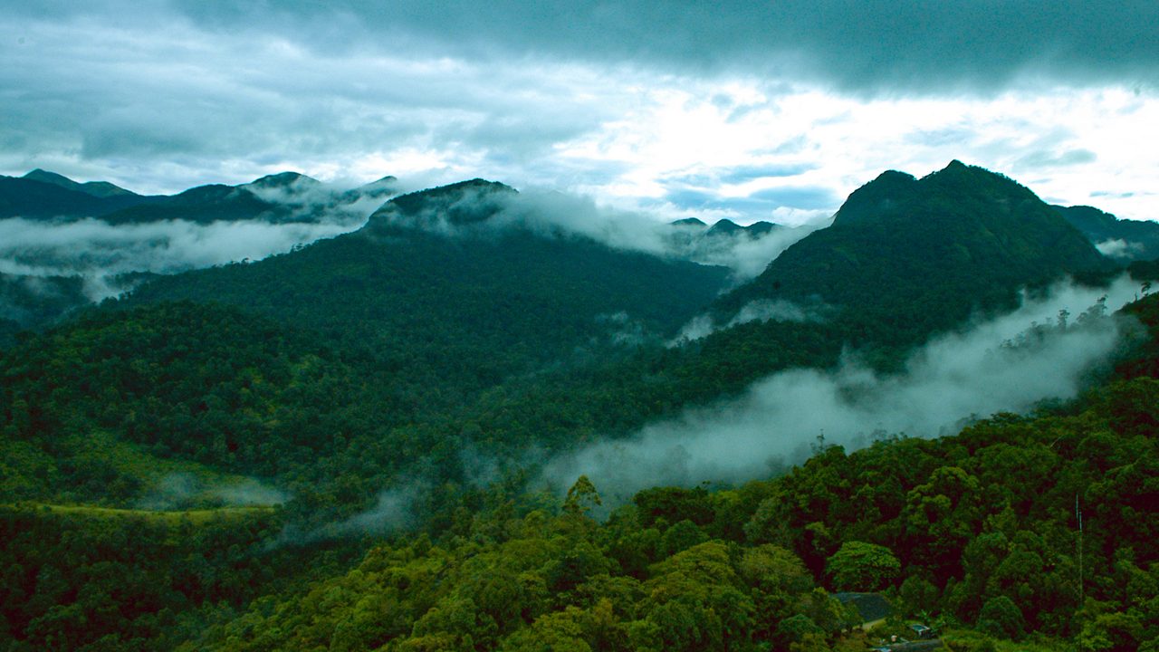 1-silent-valley-national-park-palakkad-kerala-attr-hero