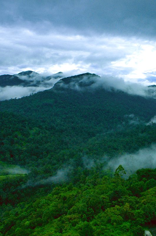 1-silent-valley-national-park-palakkad-kerala-attr-nearby