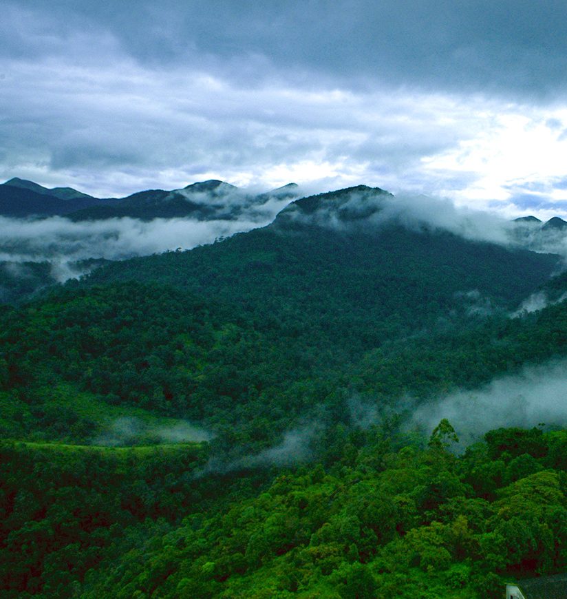 silent-valley-national-park