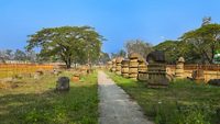 1-the-kachari-rajbari-ruins-dimapur-nagaland-attr-hero