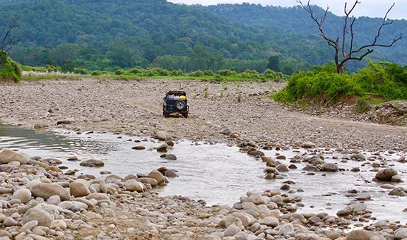 A safari vehicle riding through the rough road. Jhirna Range, Jim Corbett National Park, Uttarakhand, India