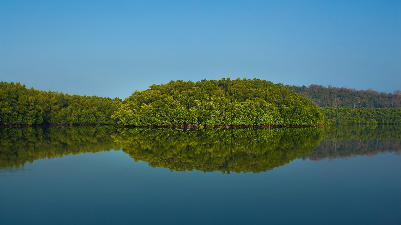 1-yerrata-creek-rangat-andaman-nicobar-islands-1-attr-hero.jpg