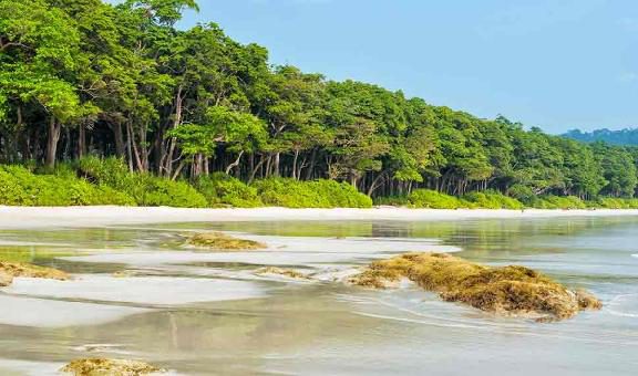 10-Fascinating-Facts-You-Didnt-Know-About-Andaman-Islands3-popular