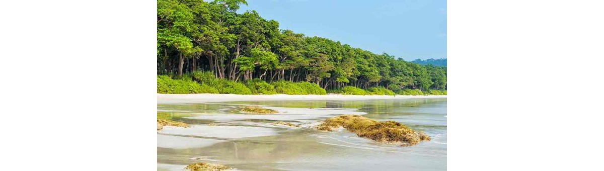 10 Fascinating Facts You Didn't Know About Andaman Islands