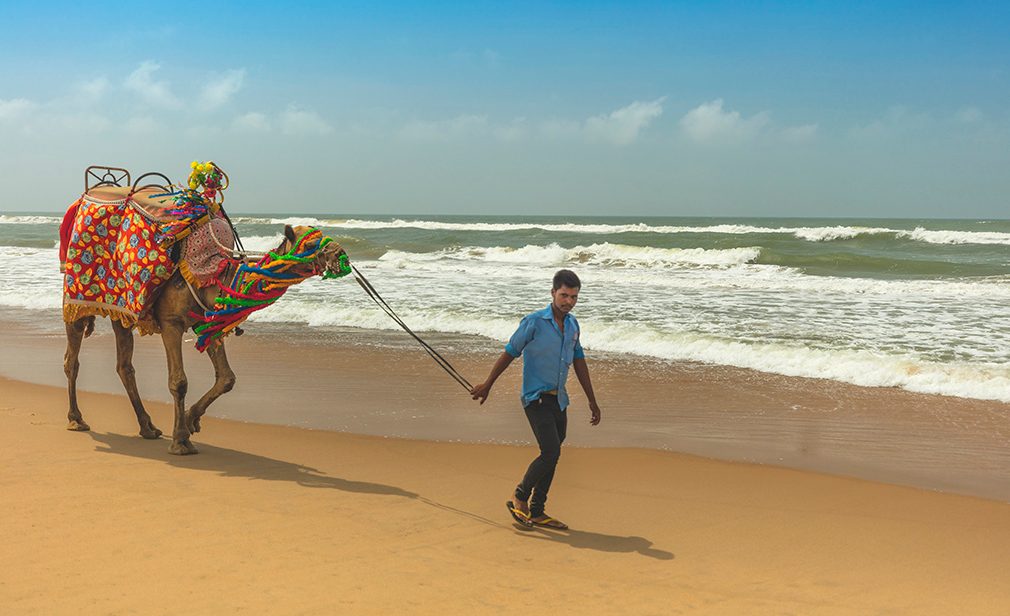 2-Puri-Beach-Festival-body.jpg