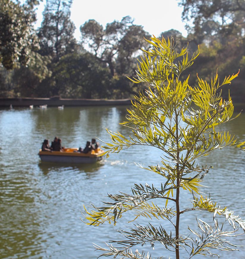 beautiful lake on lansdwone hills