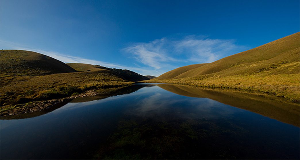 Eravikulam-National-Park