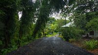 2-kumarakom-bird-sanctuary-kumarakom-kerala-attr-hero