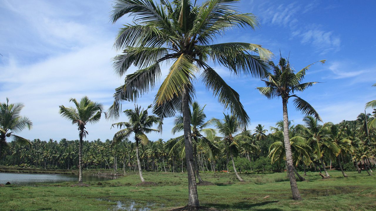 2-ponnumthuruthu-island-varkala-kerala-attr-hero