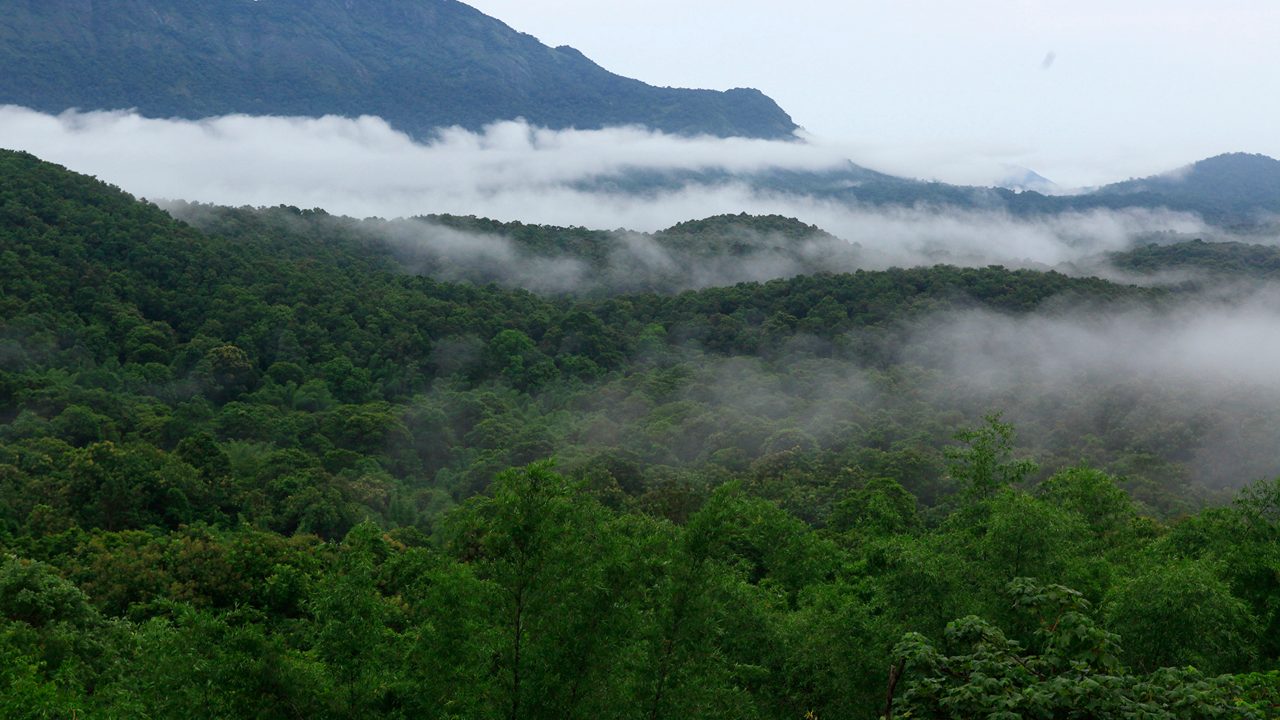 2-silent-valley-national-park-palakkad-kerala-attr-hero