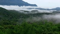 2-silent-valley-national-park-palakkad-kerala-attr-hero