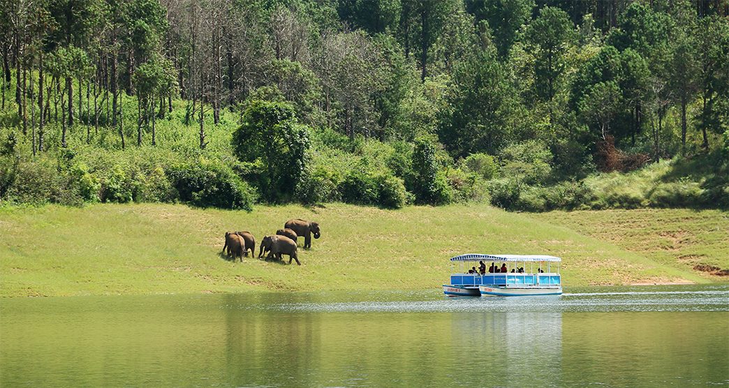 Anayirangal Dam (Anayirankal Dam) - One of the best attractions in Munnar