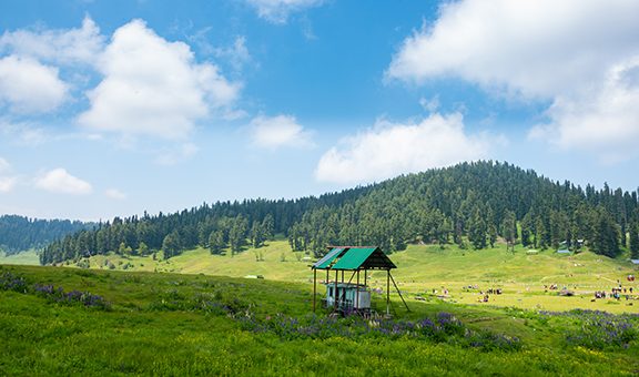 Stunning photograph of Kashmir valley (Paradise on Earth). Beautiful view of Betaab Valley surrounded by mountains and green fir and pine tree line forest landscape. Jammu and Kashmir, India.