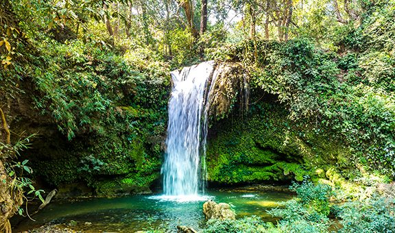 Corbett Falls is a scenic water fall and is surrounded by dense teak wood forest