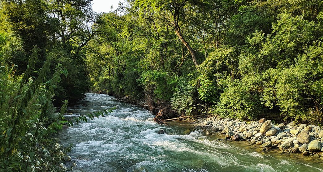 River in Dachigam National Park, Kashmir, India