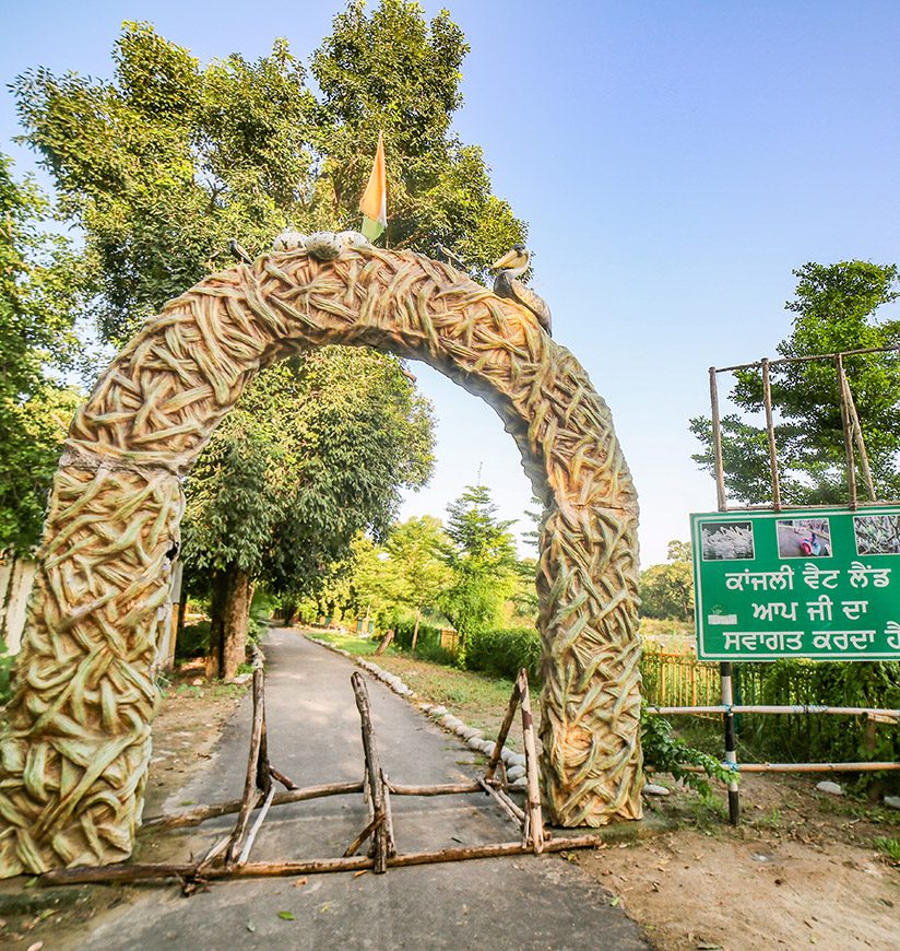 3-kanjli-wetland-kapurthala-punjab-city-ff