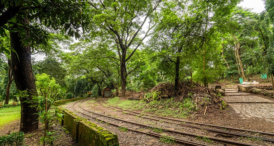 sanjay-gandhi-national-park