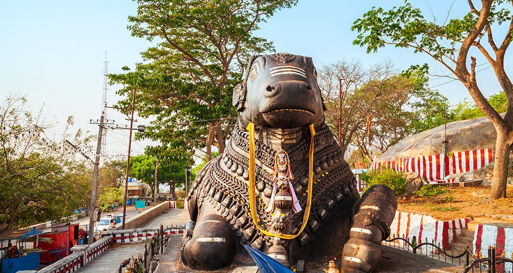 Shri Nandi monument is a hindu holy bull statue located on the top of Chamundi Hills near Mysore in India