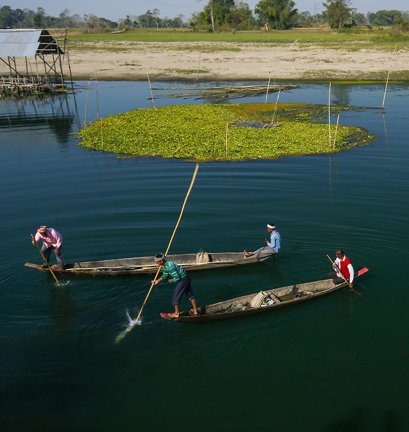 Majuli Island